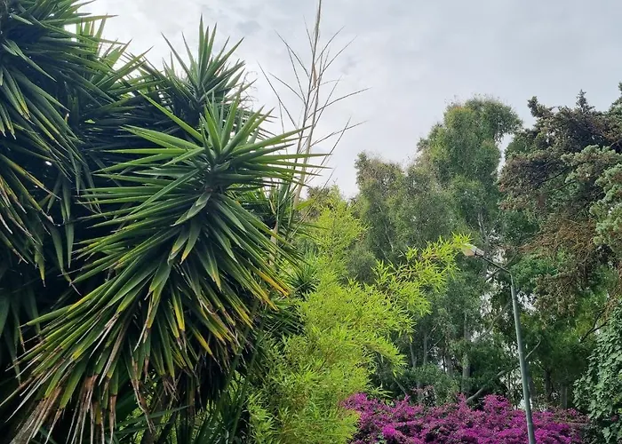 Hotel Is Benas Country 4*